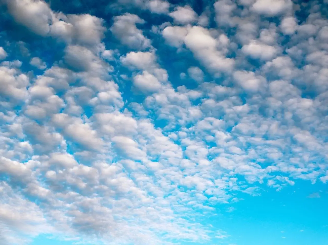 En este momento estás viendo Nube Privada: 4 razones que están cambiando las reglas del juego